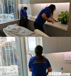 生蚝 外送的搜寻结果 清洁服务 灭鼠 地毡清洗 家居清洁 杀虫 灭蚤 灭白蚁 灭蚁 装修清洁 灭虫服务 清洁服务 灭鼠 地毡清洗 家居清洁 杀虫 灭蚤 灭白蚁