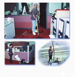 chungshing cleaning service ltd.提供楼宇清洁 清洁高空玻璃幕墙 装修后清洁等服务