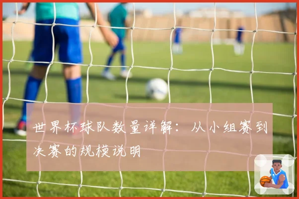 世界杯球队数量详解：从小组赛到决赛的规模说明