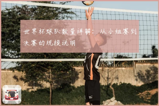 世界杯球队数量详解：从小组赛到决赛的规模说明