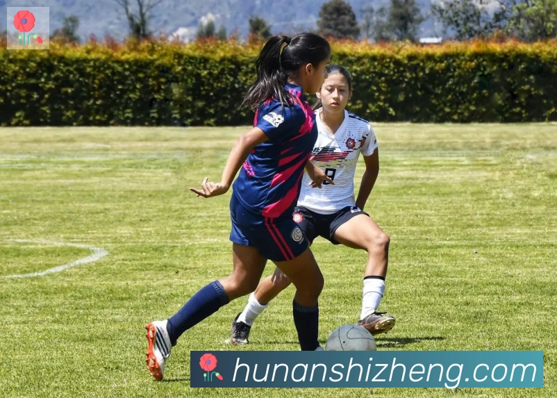 开云app官方在线入口APP 封面图