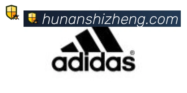 开云app官方在线入口合作伙伴