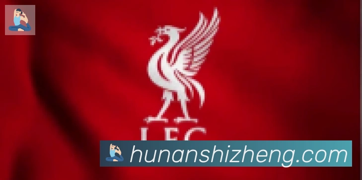 开云app官方在线入口合作伙伴